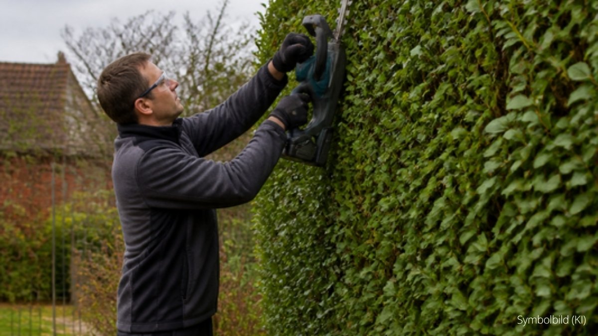 Mann schneidet eine Hecke mit einer Akku-Heckenschere (Symbolbild, KI-generiert)